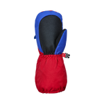 #Peter-The-Parrot#Peter-Le-Perroquet