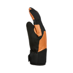 #Chamois#Chamois
