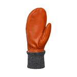#Chamois#Chamois