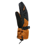 #Chamois#Chamois