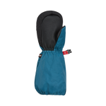 #Mallard-Blue#Bleu-Canard-Colvert
