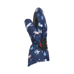 #Astro-Cat#Chat-Astro