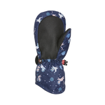 #Astro-Cat#Chat-Astro