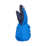 #Nolan-The-Narwhal#Nolan-Le-Narval