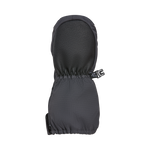 #Raccoon#Raton-Laveur