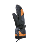 #Chamois#Chamois
