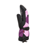#Orchid-Petal#Petale-D-orchidee