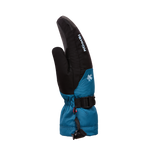 #Mallard-Blue#Bleu-Canard-Colvert