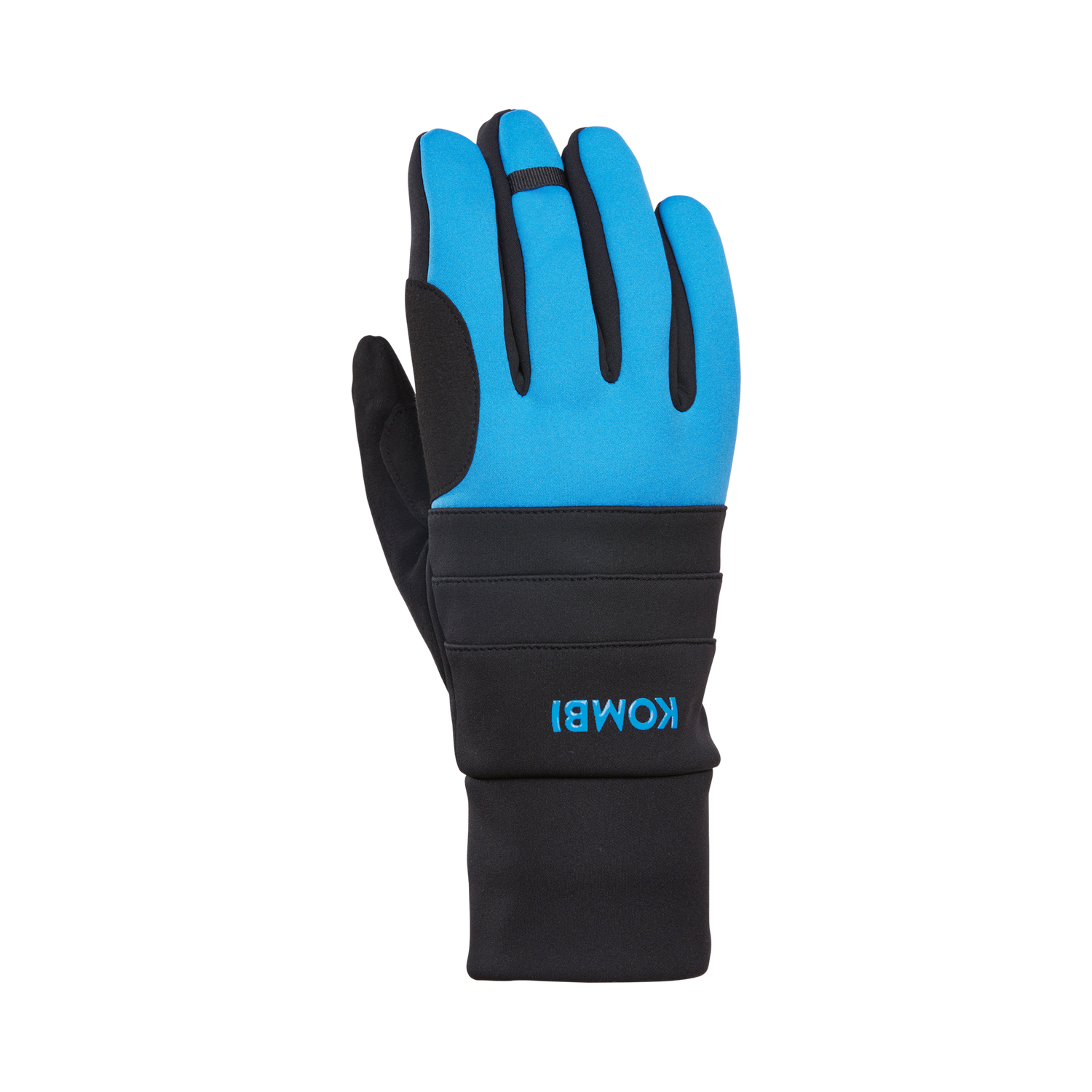 Mens blue ski outlet gloves