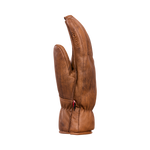 #Walnut#Noix