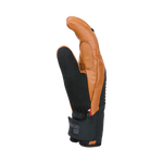 #Chamois#Chamois