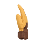 #Walnut#Noix