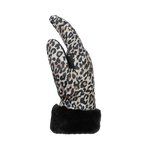 #Leopard#Leopard