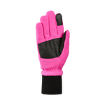 Windguardian Fleece Gloves - Women